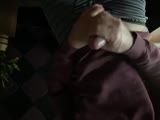 Stroking My Cock Just.. - Gayguy63
