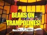 Bears On Trampolines .. - Vintage Bareback