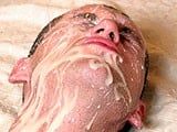 One Big Nasty Facial .. - ManButtered